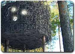 Отель-гнездо на дереве