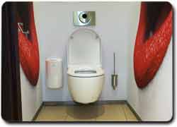 Бизнес мысль 2342. Комфортные и незапятнанные публичные туалеты