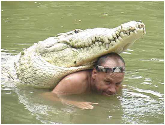 Экстремальные утехи: смертельный аттракцион с крокодилом