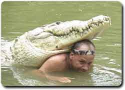 Экстремальные утехи: смертельный аттракцион с крокодилом