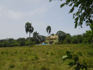 Дом и земля в Доминикане