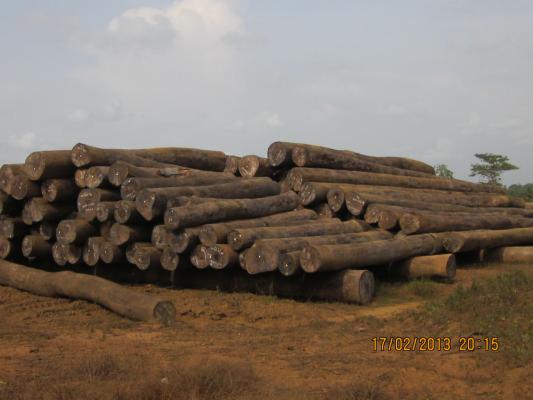 Разработка лесных ресурсов в Либерии
