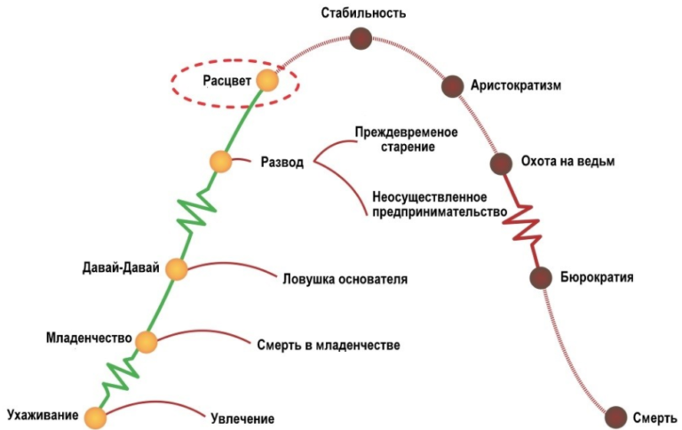 Жизненный цикл проекта состоит